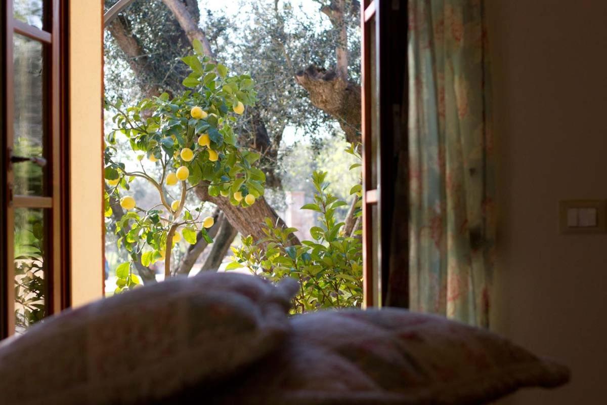 Il Bottaccio Casa Di Campagna Venturina Terme Eksteriør billede