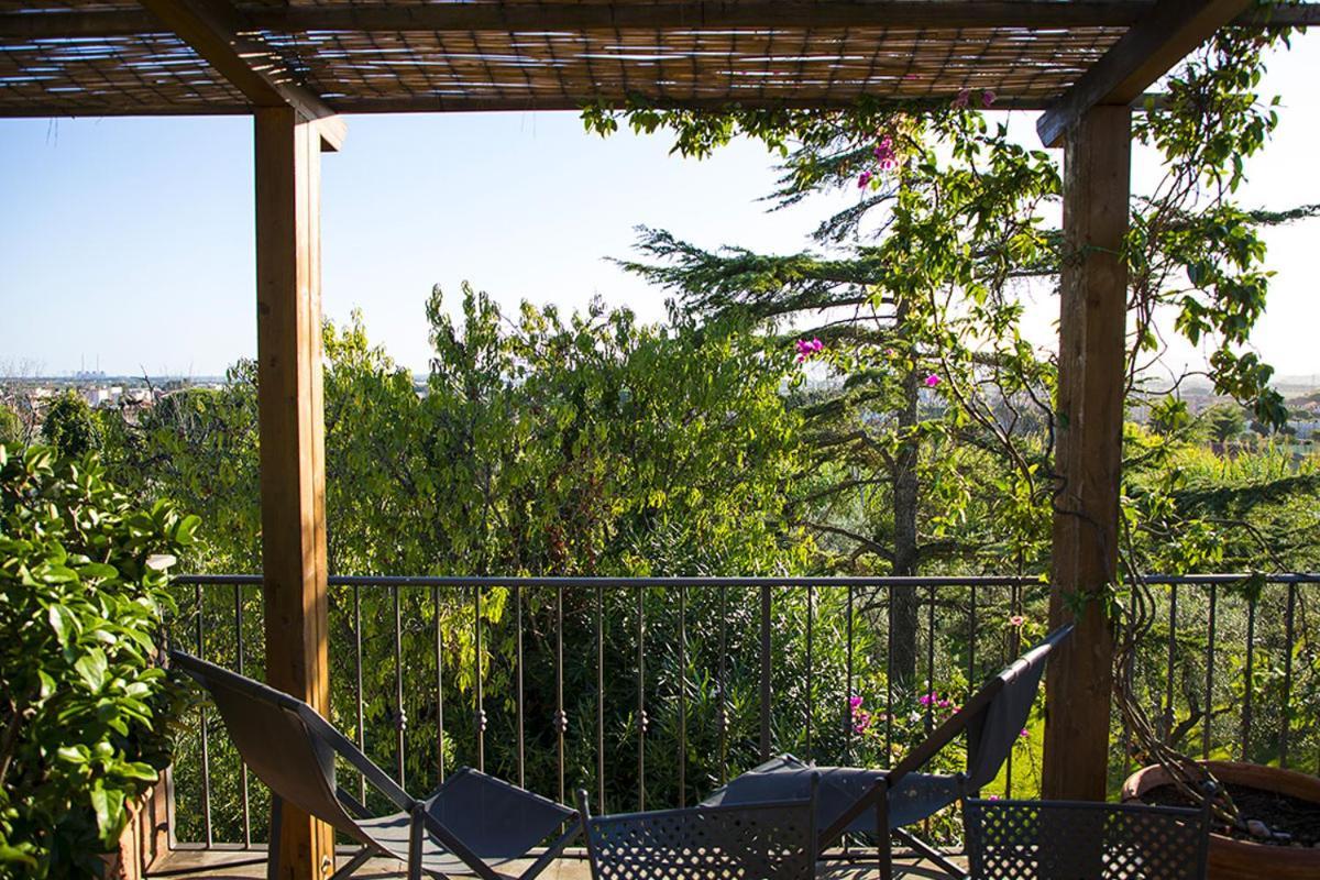 Il Bottaccio Casa Di Campagna Venturina Terme Eksteriør billede