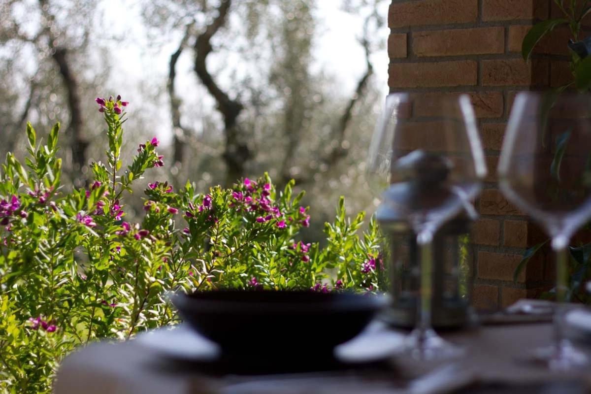 Il Bottaccio Casa Di Campagna Venturina Terme Eksteriør billede